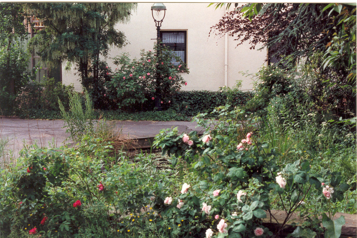 Rosen-Ökoteich 1996